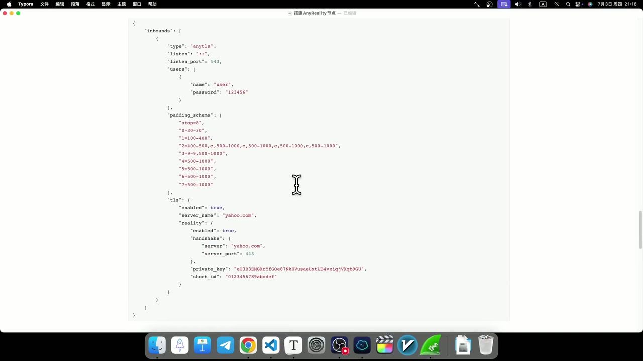 Sing-box AnyReality 配置文件示例