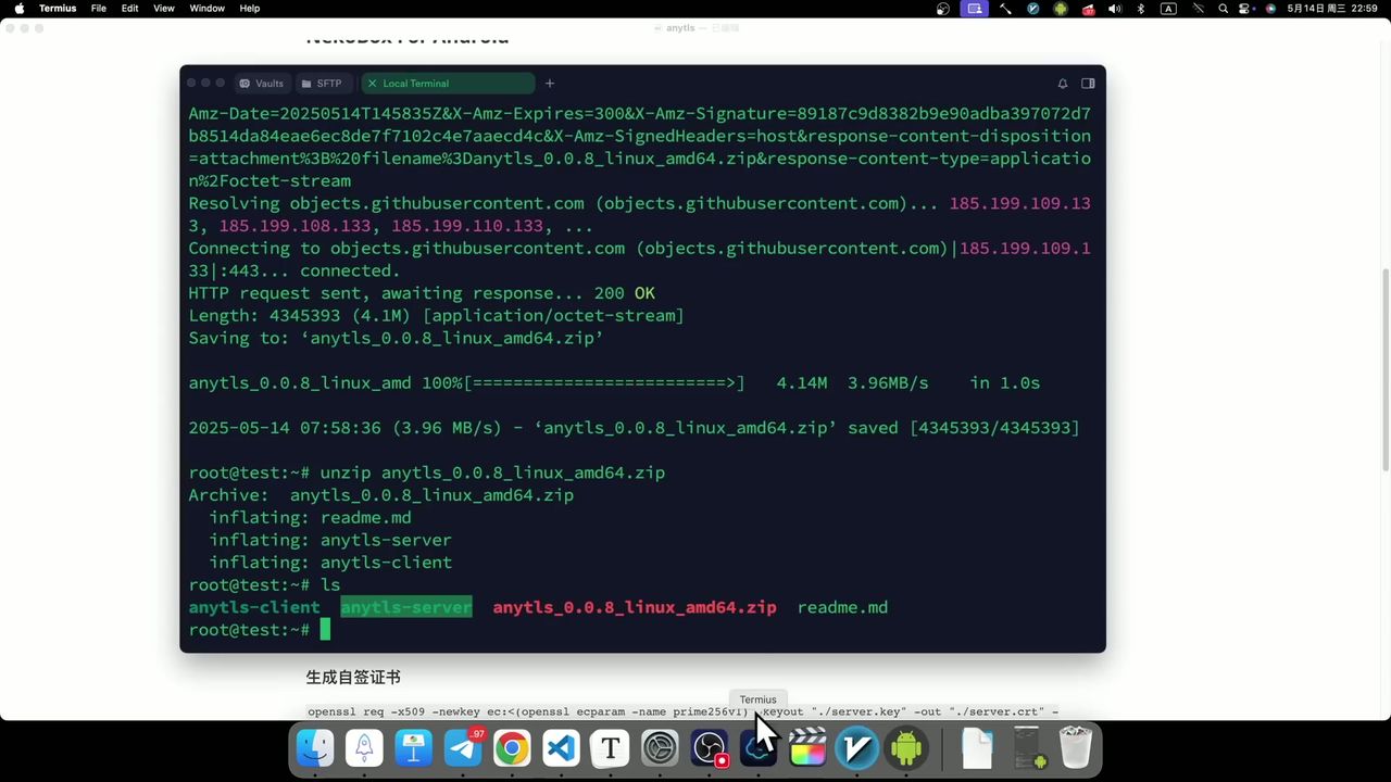 AnyTLS-go 服务端运行界面