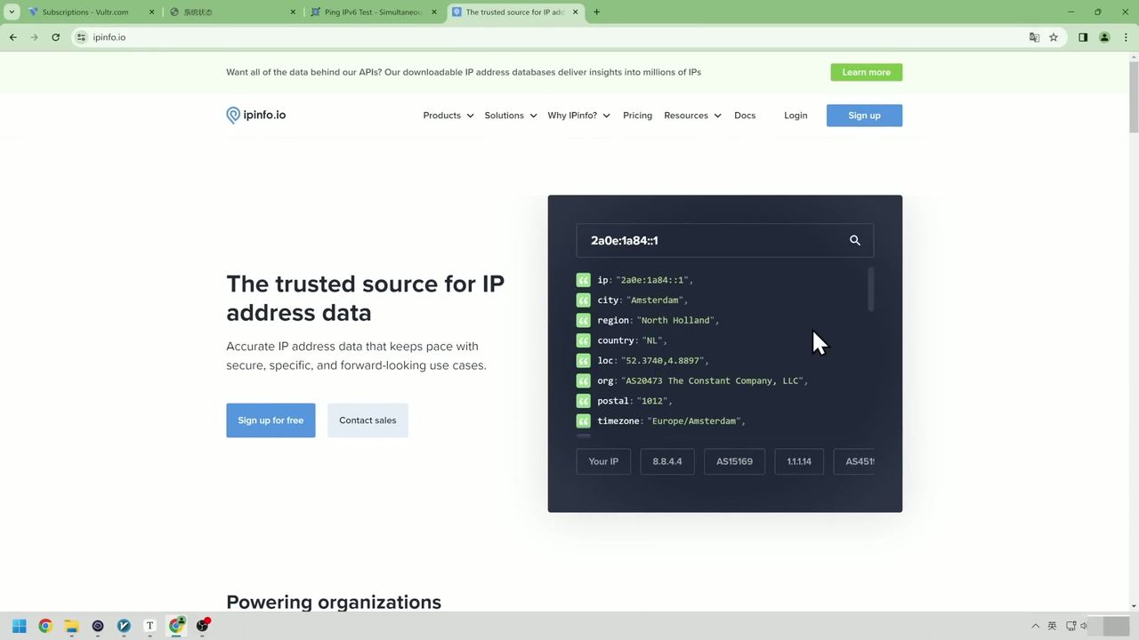 IP 信息查询结果页面