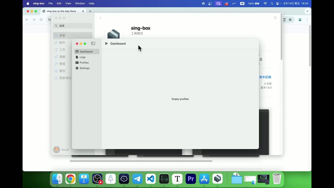 Sing-box 全方位指南:从新手入门到软路由进阶配置详解