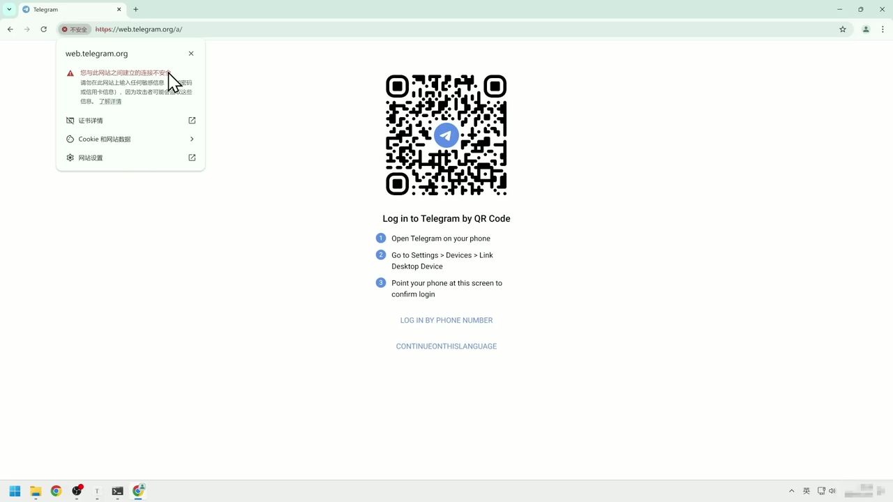 浏览器安全警告界面