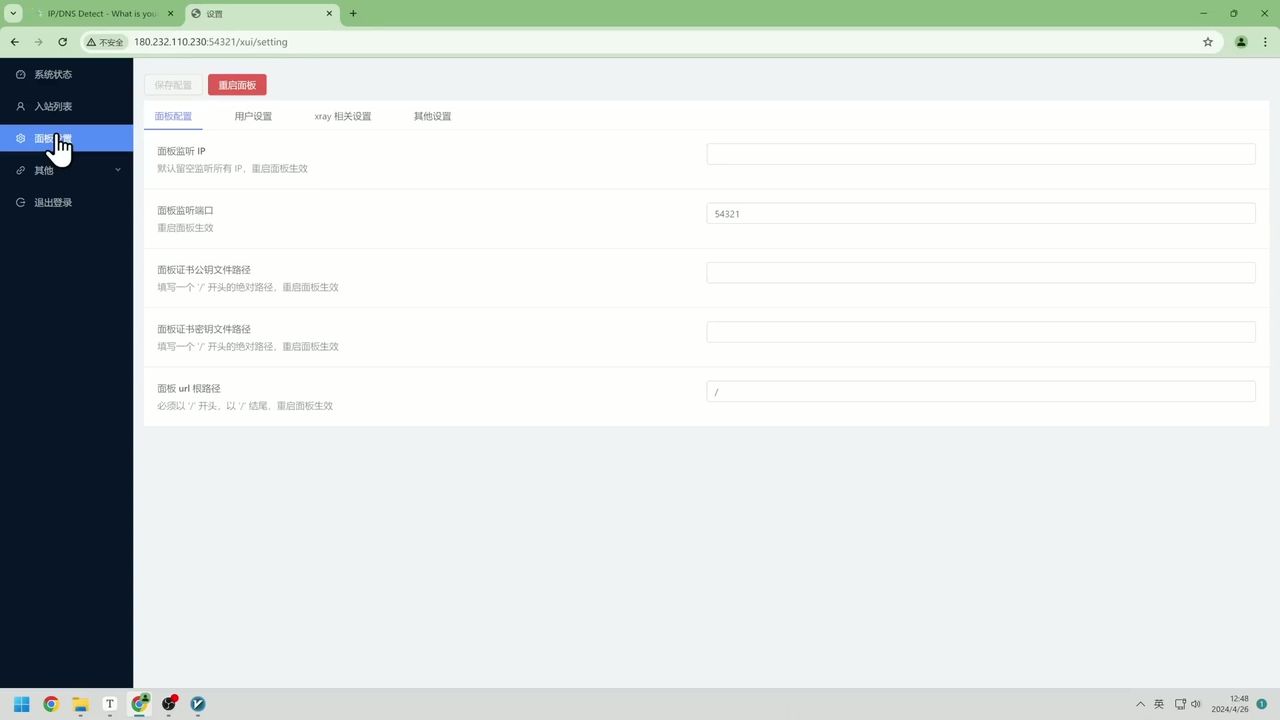 DNS 配置修改界面